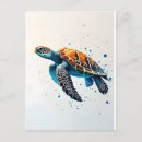 Zoek naar baby schildpad briefkaarten Schildpadden