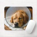Zoek naar kraag muismatten Hond