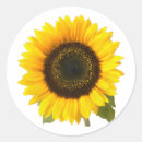Zoek naar grote zon stickers Zonnebloem