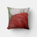 Zoek naar komkommer kussens Voedsel