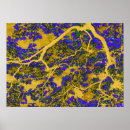Zoek naar gele boom posters Blauw