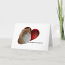 Zoek naar langharige kat kaarten Maine coon