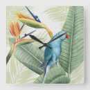 Zoek naar vogels klokken Palmen