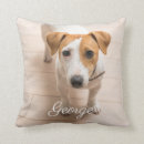 Zoek naar puppy fotografie Dier