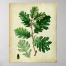 Zoek naar groene deur posters Voor haar