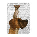 Zoek naar chihuahua magneten Bloemblaadjes