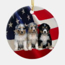 Zoek naar australian shepherd ornamenten Kerstmis