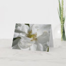 Zoek naar rosa kaarten Natuur