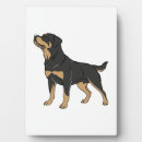 Zoek naar rottweiler fotoplaat Pug