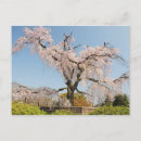 Zoek naar kersenboom posters Dag