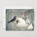 Zoek naar swallow briefkaarten Slikken