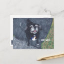 Zoek naar pug briefkaarten Nieuw adres