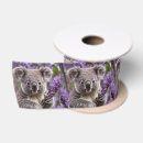 Zoek naar koala lint Beer