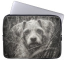 Zoek naar honden laptop sleeves Schatten