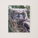 Zoek naar kijk puzzels Wilde dieren