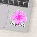 Zoek naar kokosnoot stickers Hibiscus