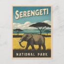 Zoek naar serengeti nationaal park briefkaarten Tanzania