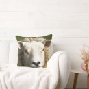 Zoek naar ooi kussens Schapen