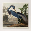 Zoek naar audubon puzzels Illustratie