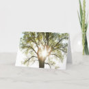 Zoek naar spiritualiteit kaarten Natuur