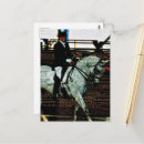 Zoek naar dressuur briefkaarten Mooi