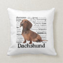 Zoek naar dachshund kussens Gezelschapsdier