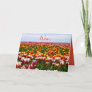 Zoek naar easter kaarten Elk persoon