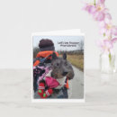 Zoek naar grappige dieren kaarten Schattig