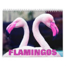 Zoek naar flamingos kalenders Wilde dieren