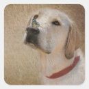 Zoek naar laboratorium borden Huisdier