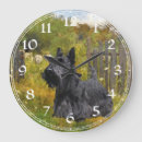 Zoek naar schotse terriër klokken Dieren