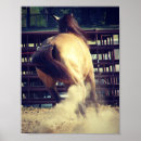 Zoek naar knipsel posters Equine