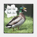 Zoek naar vogel humor magneten Eenden