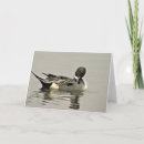 Zoek naar moerassen posters Moerasland