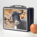 Zoek naar klein lunchboxen Elk persoon