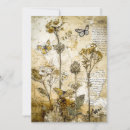 Zoek naar herbarium posters Antiek