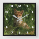 Zoek naar fox klokken Foto