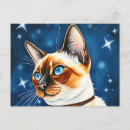 Zoek naar siamese kat briefkaarten Portret