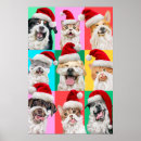 Zoek naar kat en hond posters Avanti pers