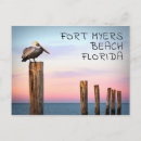 Zoek naar pelican briefkaarten Florida