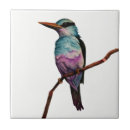 Zoek naar magenta tegels Natuur