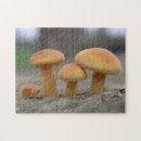 Zoek naar macro puzzels Natuur