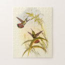 Zoek naar hummingbird puzzels Nectar