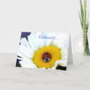 Zoek naar margriet kaarten Bloemen