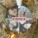 Zoek naar huisdier aandenken ornamenten Kerstmis