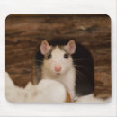Zoek naar ratten muismatten Voor iedereen