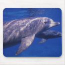 Zoek naar ireland muismatten Zwemmen