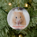 Zoek naar hamsters ornamenten Dierenvriend