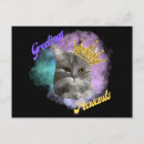Zoek naar boze kat briefkaarten Grappig