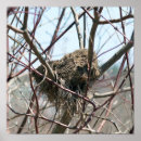Zoek naar vogelnest posters Voor haar